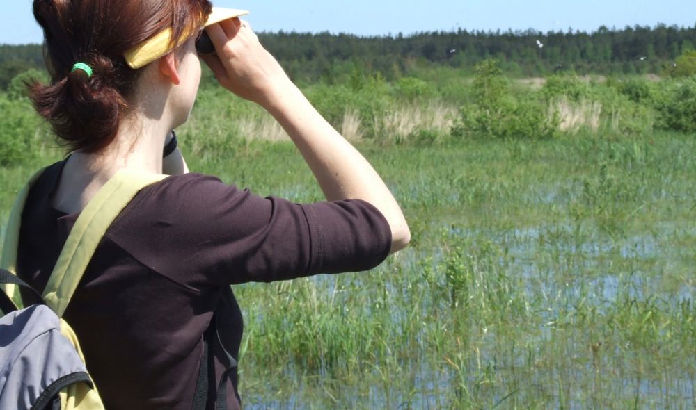 Go Birdwatching
