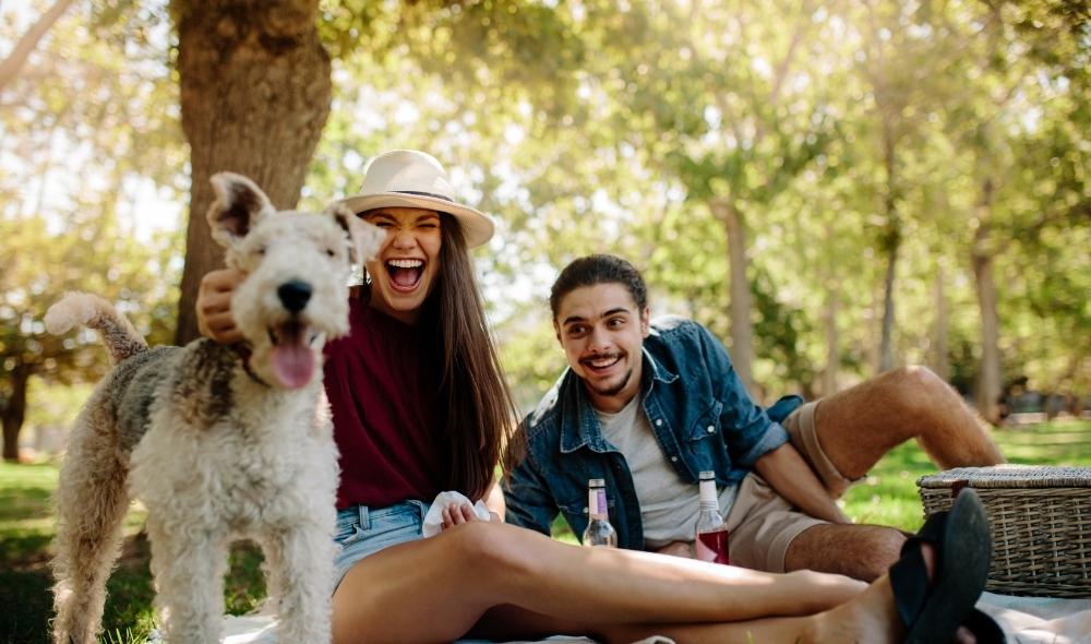 Picnic in the Park